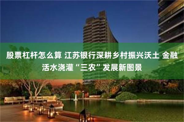股票杠杆怎么算 江苏银行深耕乡村振兴沃土 金融活水浇灌“三农”发展新图景