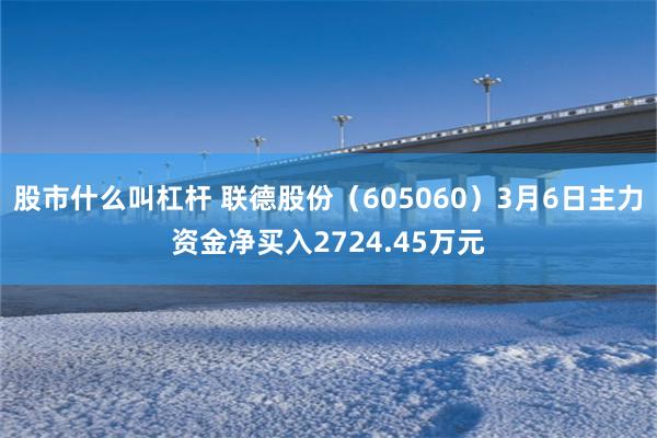 股市什么叫杠杆 联德股份（605060）3月6日主力资金净买入2724.45万元