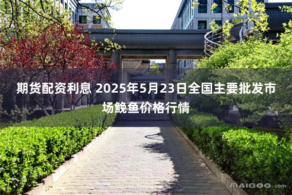期货配资利息 2025年5月23日全国主要批发市场鮸鱼价格行情